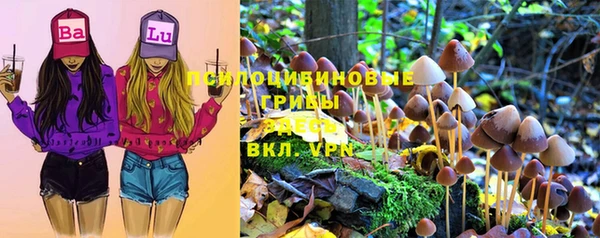МДМА Богородицк