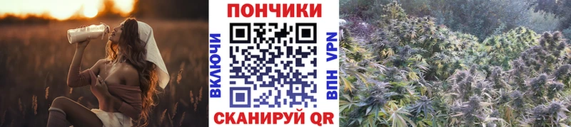 Бошки Шишки планчик Кизилюрт